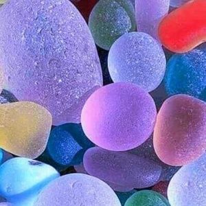 Meet your Posher, Brittanie